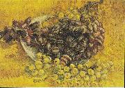 Vincent Van Gogh Still Life with Grapes Spain oil painting artist